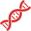 DNA